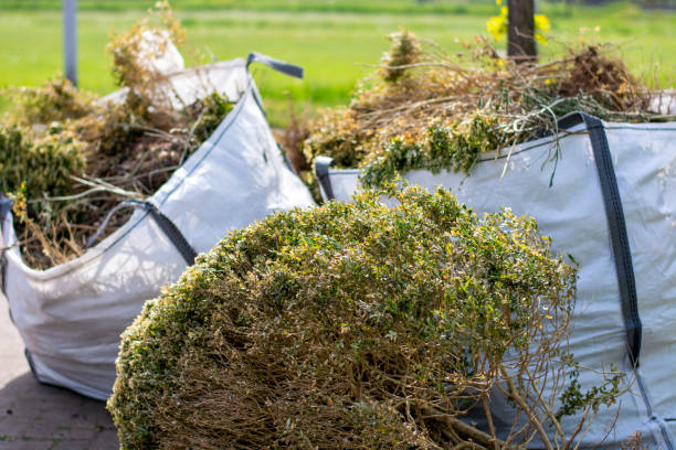 Best Affordable Junk Removal Services  in St Charles, IL