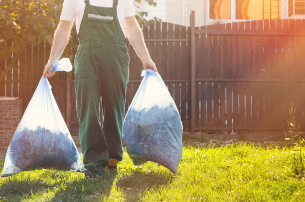 Best Furniture Removal Near Me  in St Charles, IL